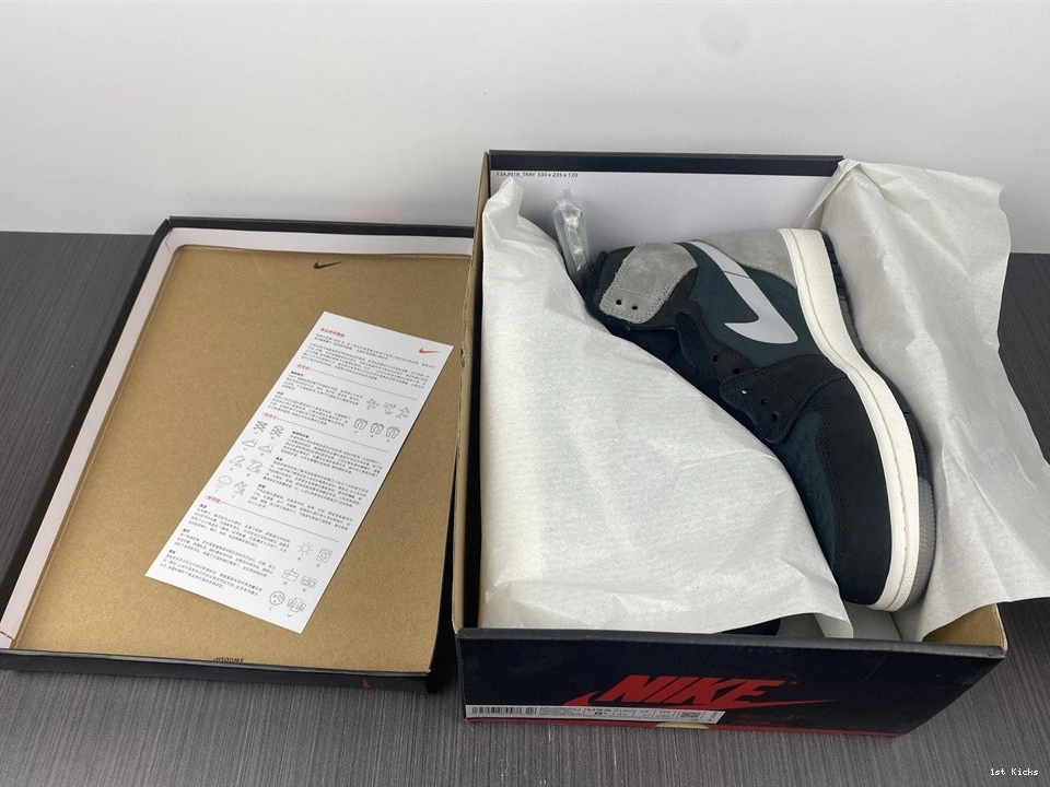 Element Grey DB2889-001 Air 1 Gore-Tex Black Jordan 1219